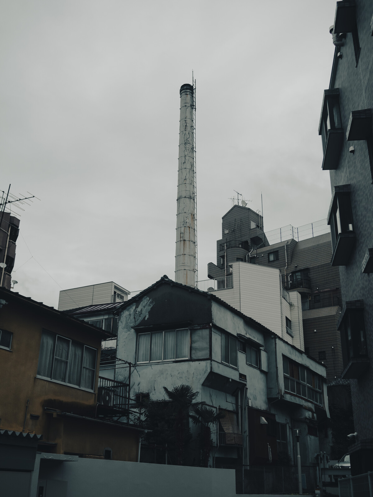 折り返し地点 どこ日記 折り返し地点 どこ日記