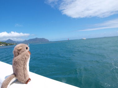 �������󥬡�