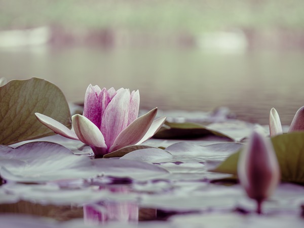 3M215565-����-NR_R