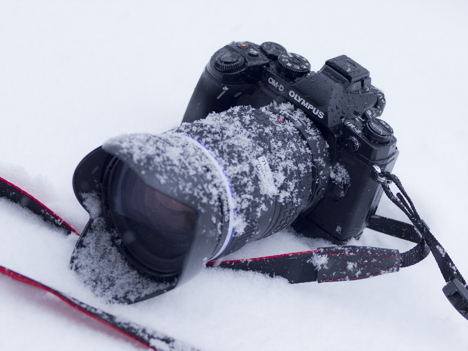 April 03 19 どこ日記