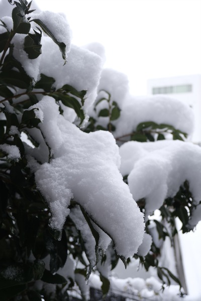 DSCF7720_R