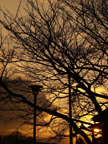 �����㤴���㡣