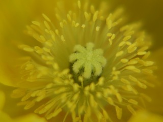 �ޤ�����