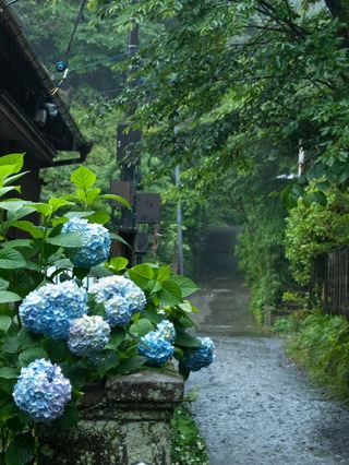 道は川に。