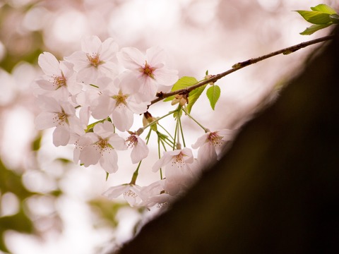 ��������Ǥ롣