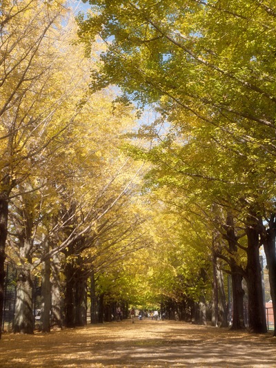 �⿧�Υȥ�ͥ롣