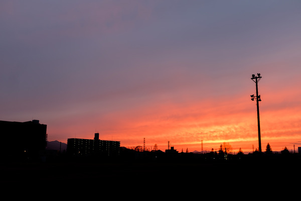 撮影 : どこ日記。