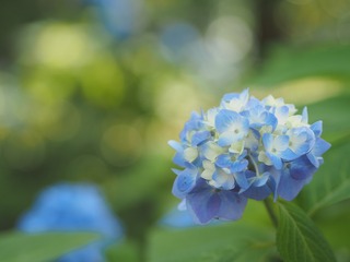 �դ���ܤ�ܤ�