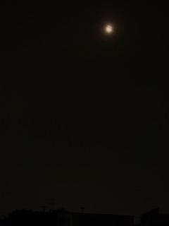 �Ƥ��ȡ���