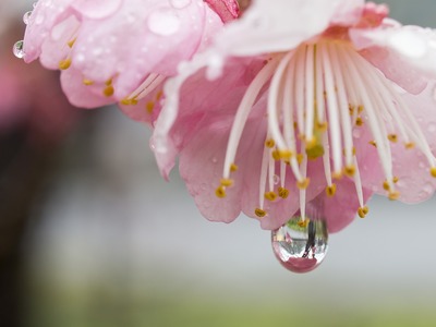 ����ť����顣