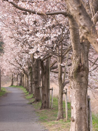 �����ڡ�