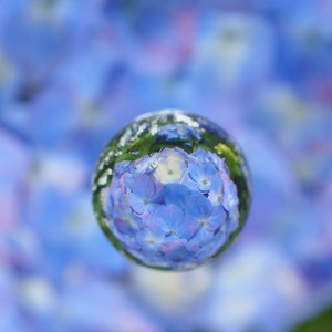 ��̡��ĥ�������