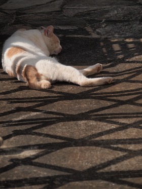 ZZzz・・・