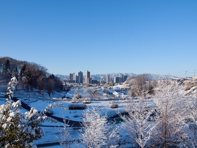 ���Ȼ���