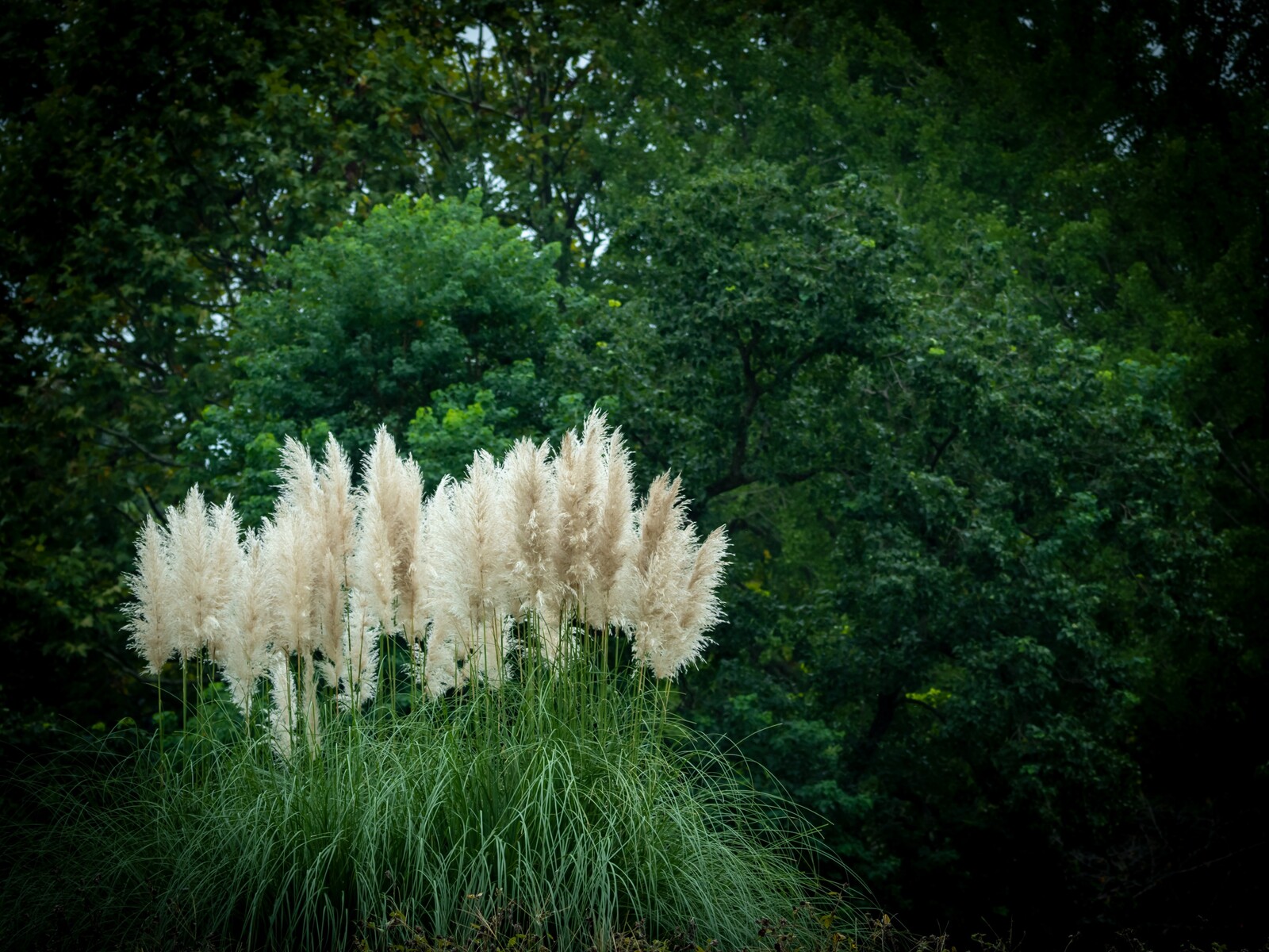 冒険したい娘ちゃん どこ日記