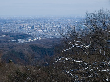 高尾山から都会を望む。