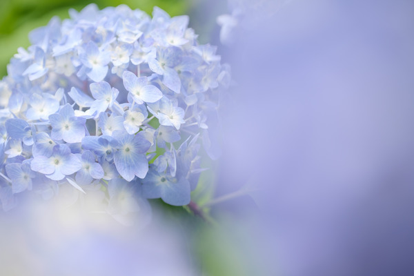 DSCF5527_rc