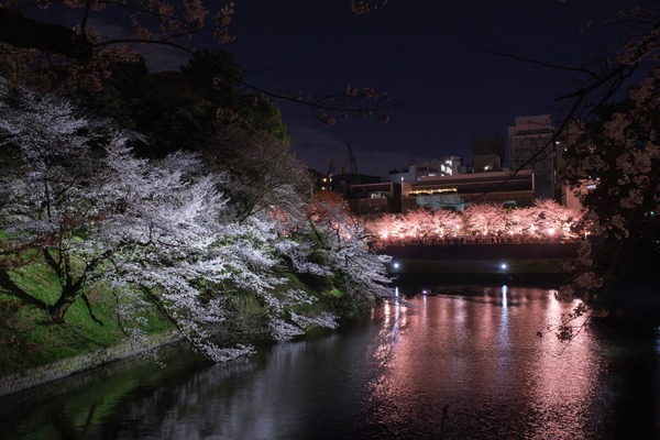 DSCF0637-����-NR-1_R