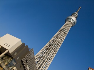 �������ĥ꡼��