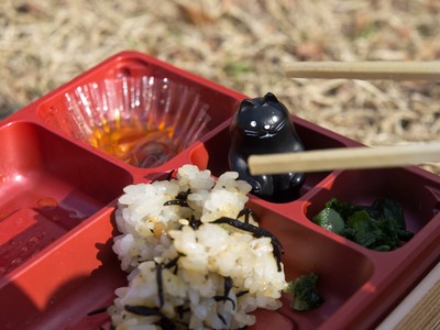 食われるー。
