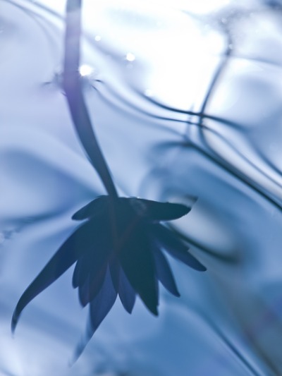 水鏡。