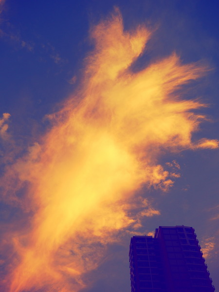 P7150032_rfc
