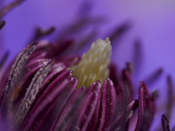 1X234788-����-NR_t