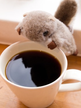 �����ҡ���