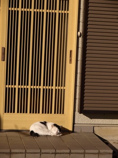 ひなたが良いよね。