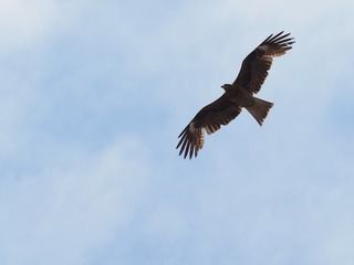 EM054392_R