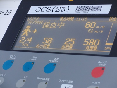 もどってこーい!
