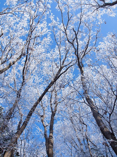 ���򸫾夲�ơ�