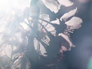 �ո����á�