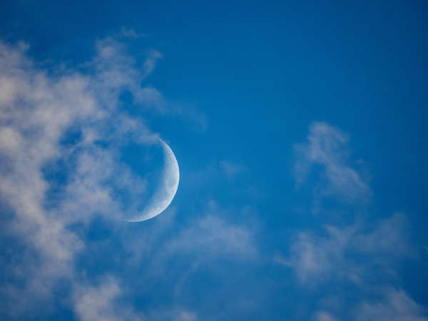 1X171853-����-NR