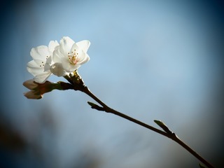 ��򿭤Ф��褦�ˡ�