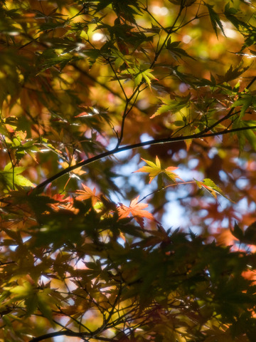 ���գ���