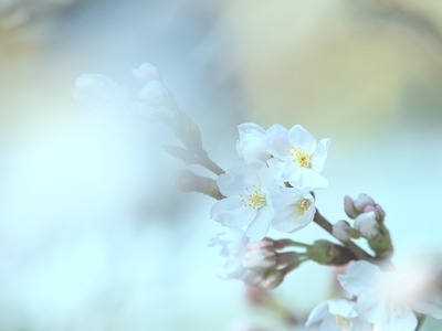 �ߤ���ܳФ�Ƥ�����