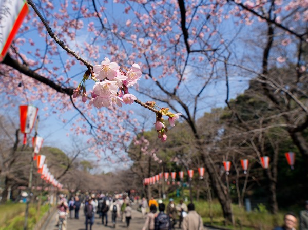 ���󥶥��顣