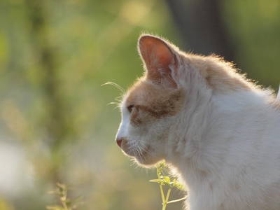 �ܤ�����