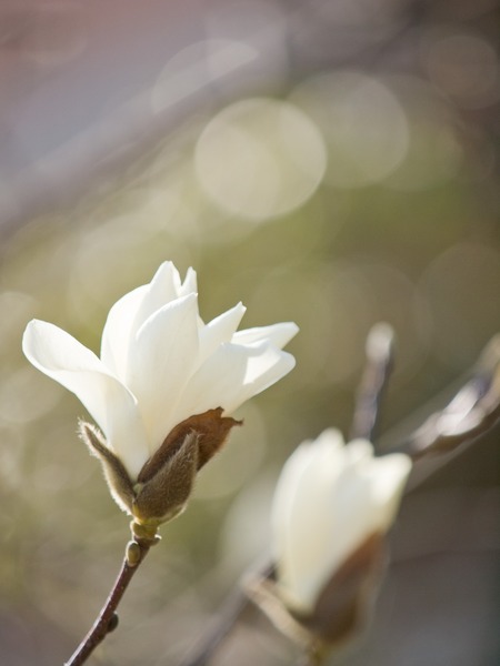 �ϥ�������