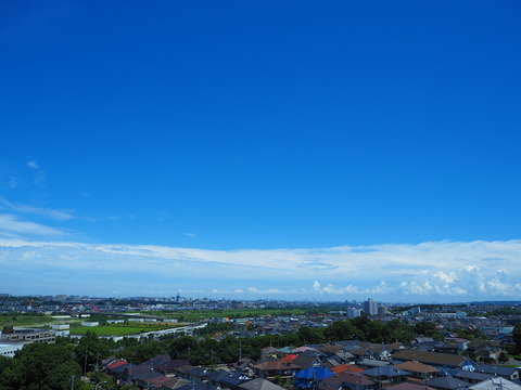 P7150022_rc