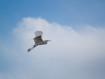 ����Ω�ġ�