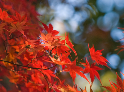 ���գ���