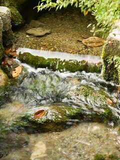 八雲神社の湧水