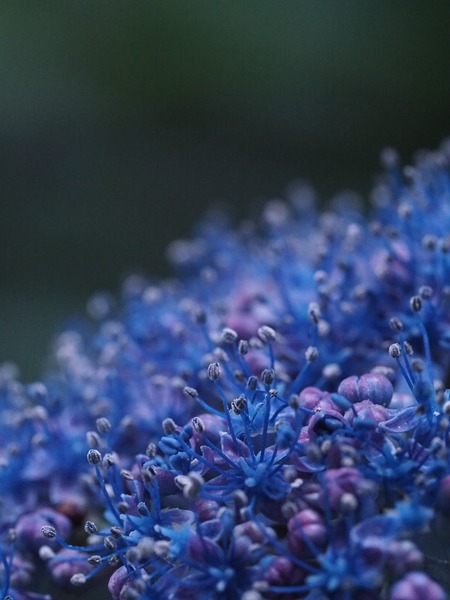 P5280120_R