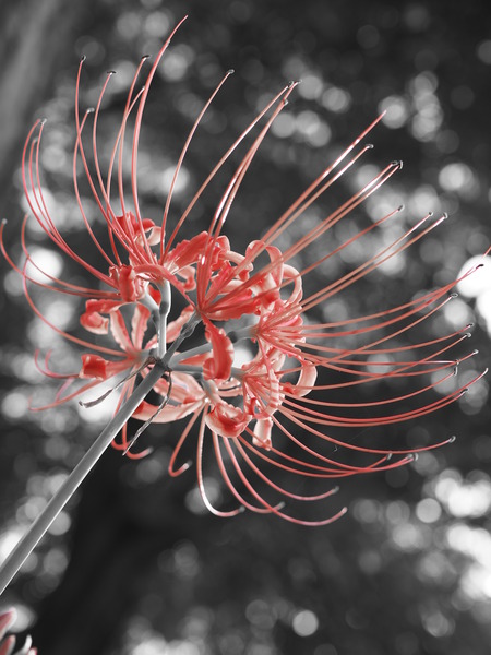 P9170029
