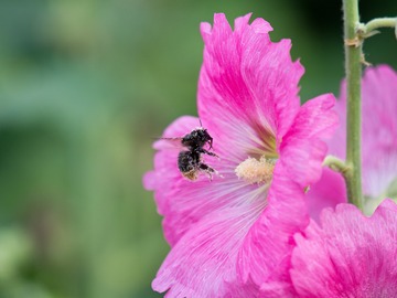 �֤֤֤֡���