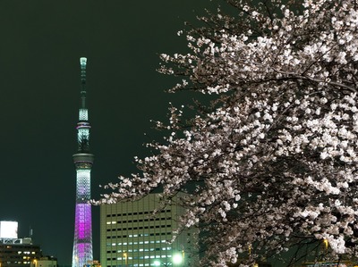 �������ĥ꡼�����