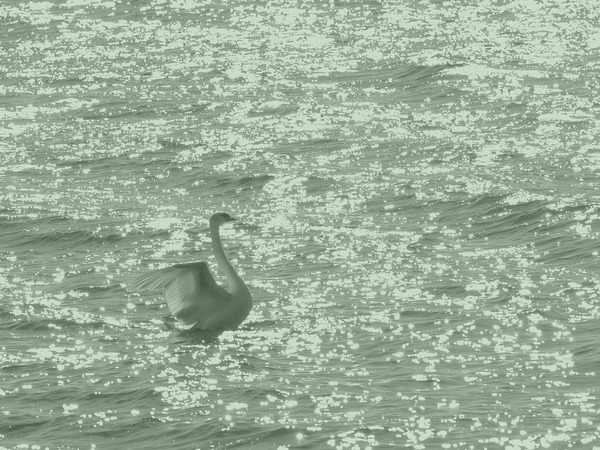 2R042593_rct_R