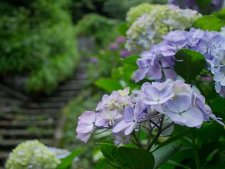 3L150088_rc_R